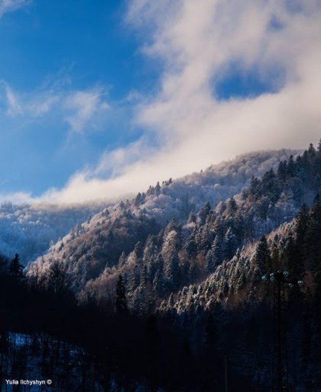 Морозphoto preview