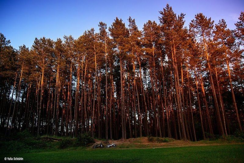 Велопрогулкаphoto preview