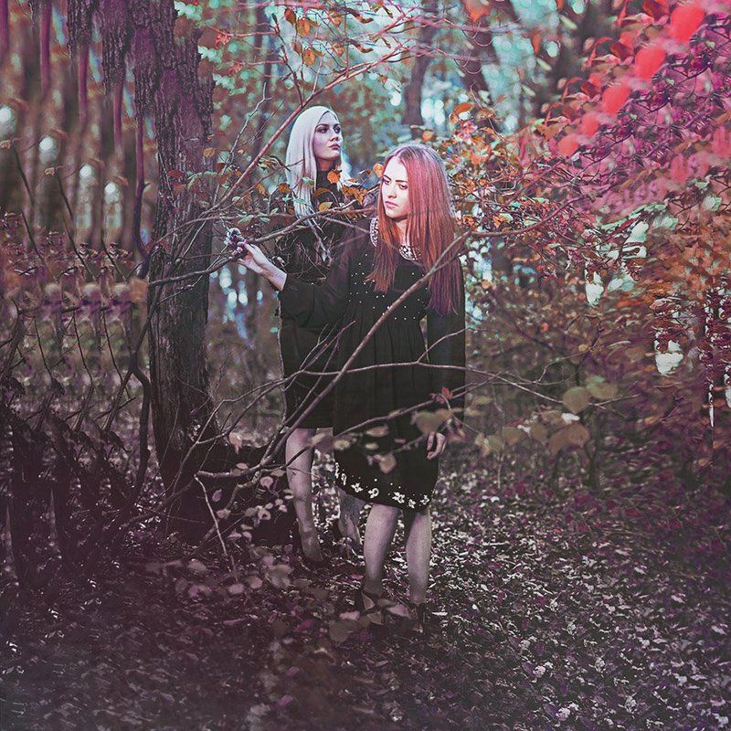 Tame Impalaphoto preview