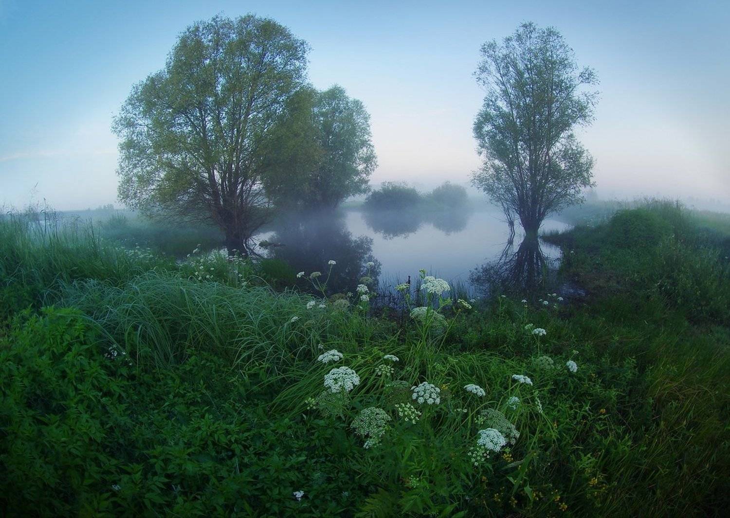 утренняя прохлада. Автор: Сергей Шляга , Сергей Шляга