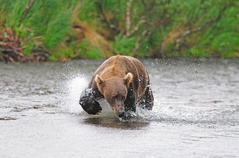 На рыбалкеphoto preview