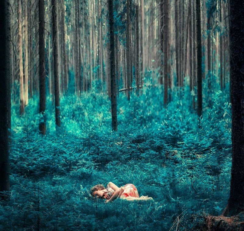 Sleeping in magic forestphoto preview