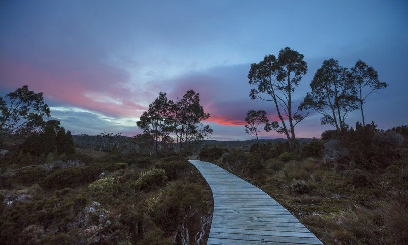 Зимнее утро Тасманииphoto preview