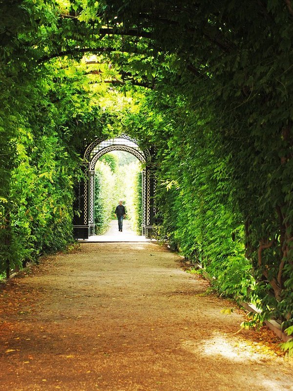 Аллея...photo preview