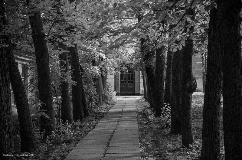 Черно - белые прогулки по Кронштадтуphoto preview