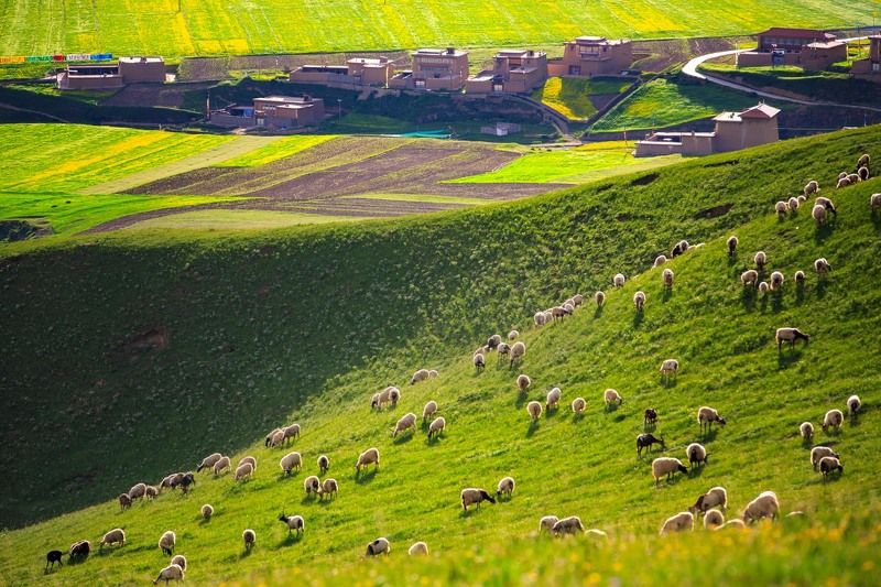 Aba Tibetan Housephoto preview