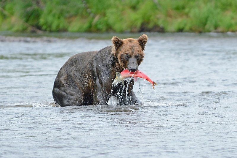 Catch of the dayphoto preview