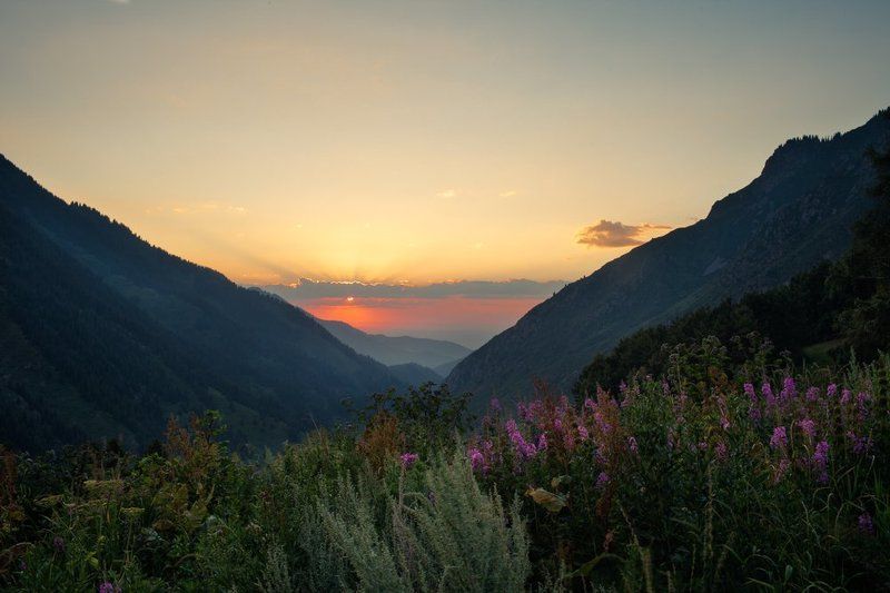 ---- фото превью