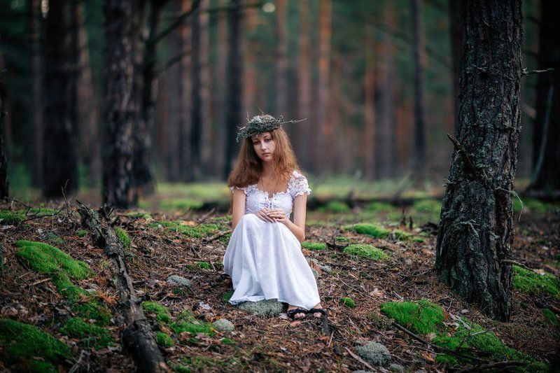 Вечер в лесуphoto preview