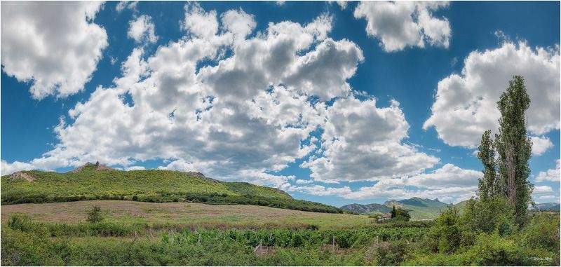 день, дорога, крым ***photo preview