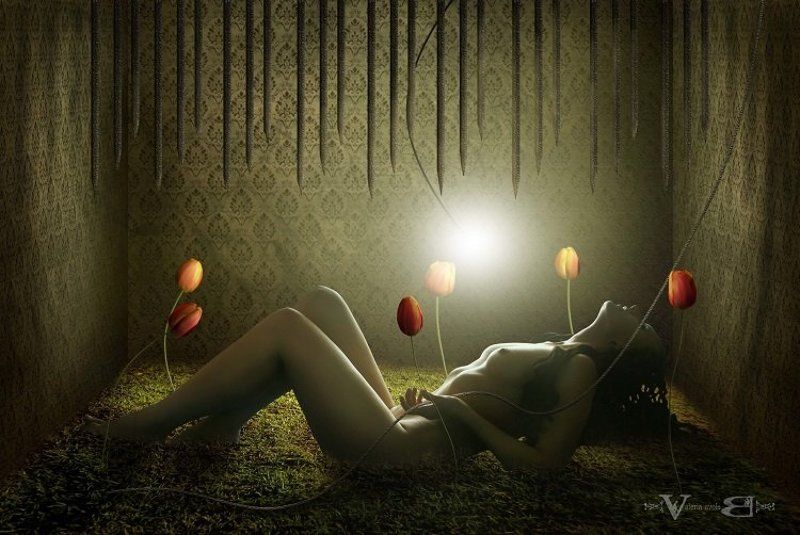 Возможностьphoto preview