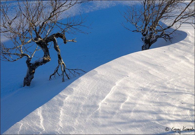 Сахалин Потусторонниеphoto preview