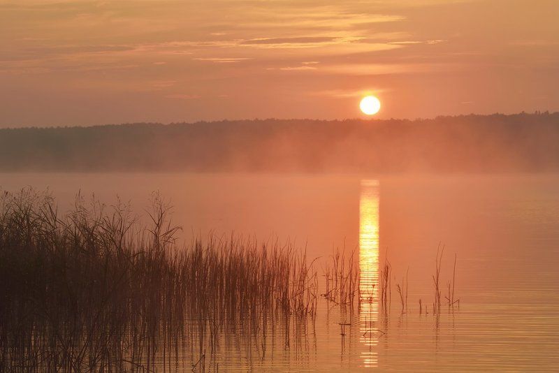 Вашутино ***photo preview