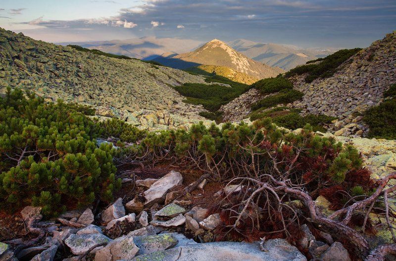 Жолобphoto preview