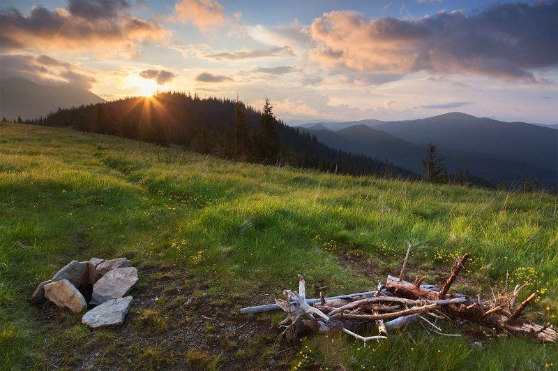 Маришевськаphoto preview