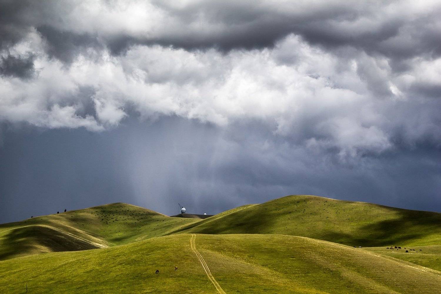 Горизонтально !. Автор: Сергей Теректі , Сергей Теректі