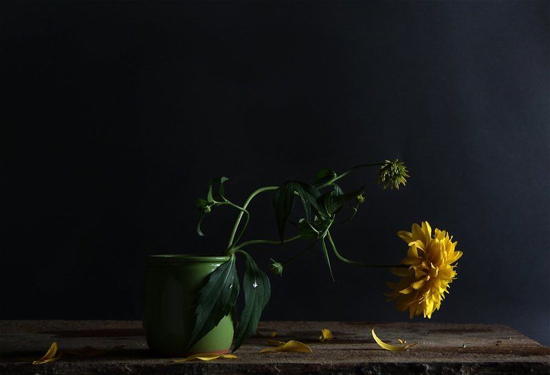 цветы, натюрморт Я не плачу, поверь. Это просто на улице дождь...photo preview