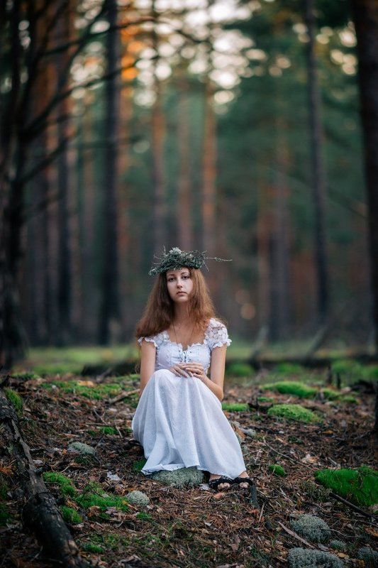 Вечер в лесу IIphoto preview