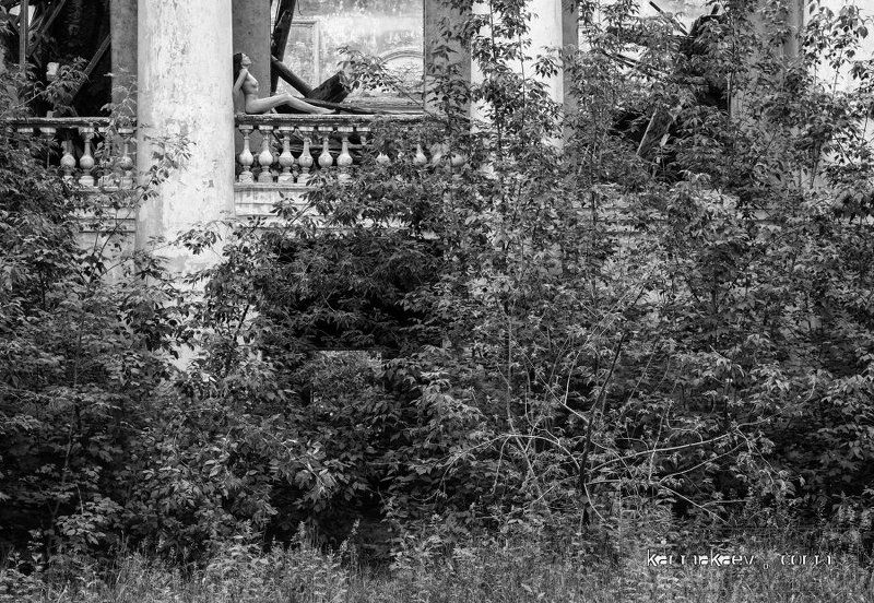 Reveriephoto preview