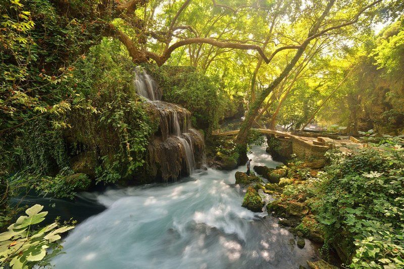 Про то, как Сеня вперед ушел, да так и не вернулсяphoto preview