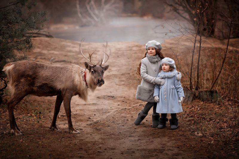 сказочные фотографии Сказкаphoto preview