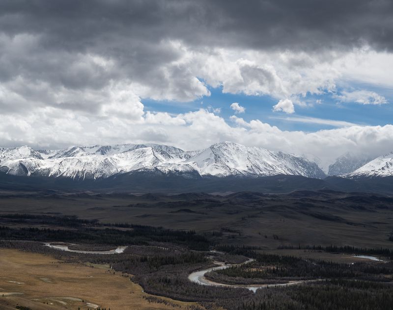 Курайская степьphoto preview