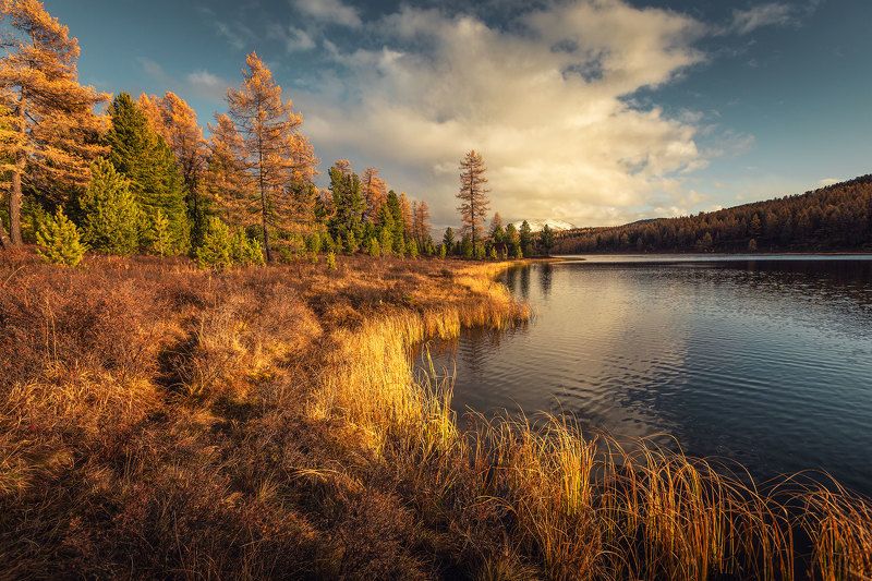 Озеро Киделю. Алтайphoto preview