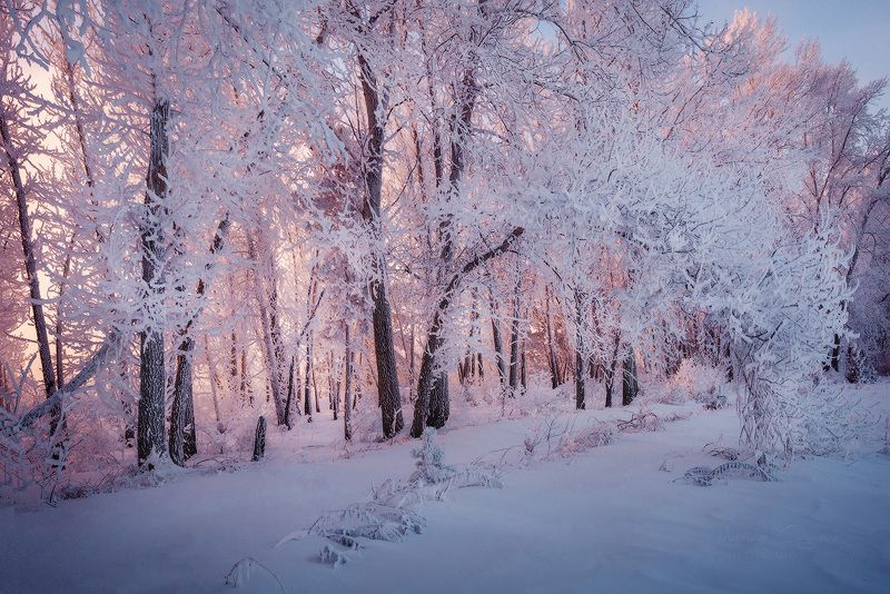 зима, сибирь, мороз, иней - 35 Сphoto preview