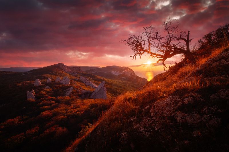 крым, храм солнца, рассвет, crimea, dawn Драконий рассветphoto preview