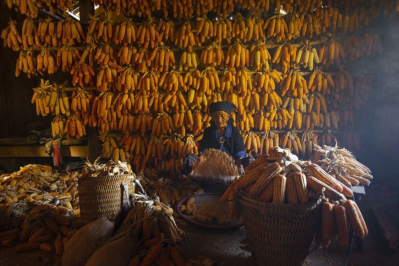 Home Alonephoto preview