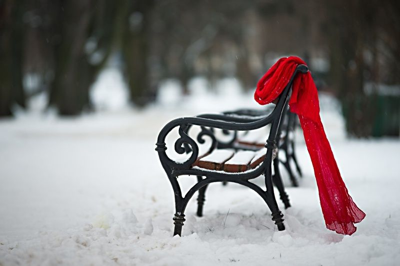 zimowa martwa natura z szalemphoto preview