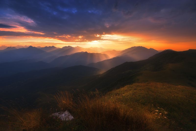 Sunlight Melodyphoto preview