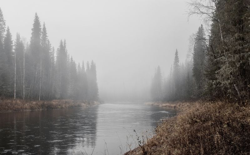 В месяце октябре.photo preview