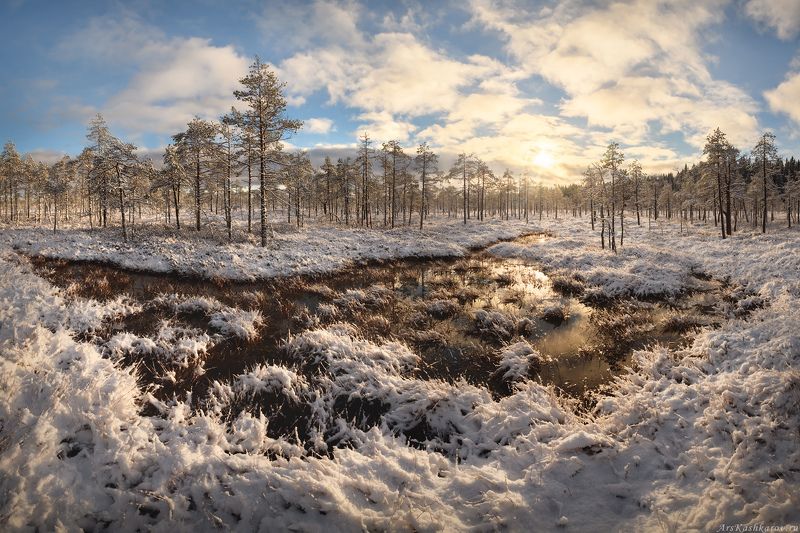болото, ленобласть, фототур, зимний пейзаж, ленинградская область, первый снег \