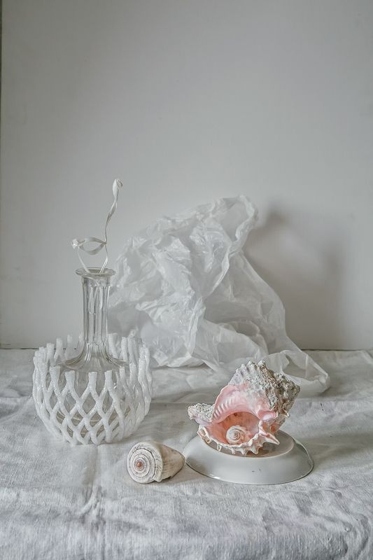 натюрморт, стекло, ракушка, пакет Про ракушки и пакетыphoto preview