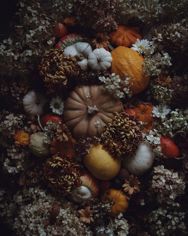 осень, флетлей, цветы, тыквы Осенние зарисовкиphoto preview