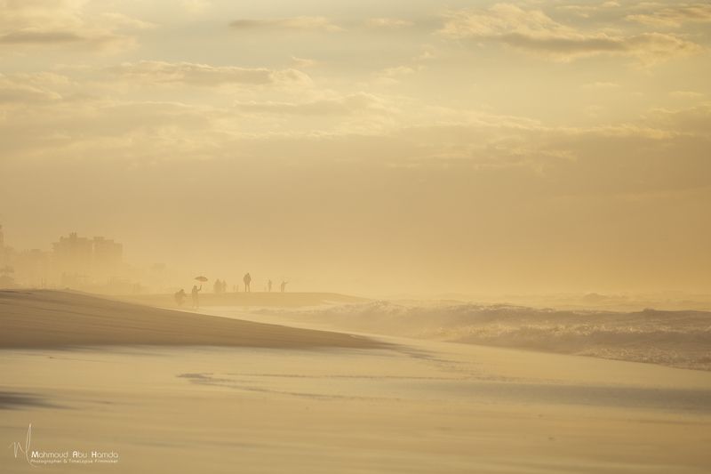 sea,beach,fog,landscape Gold Beachphoto preview
