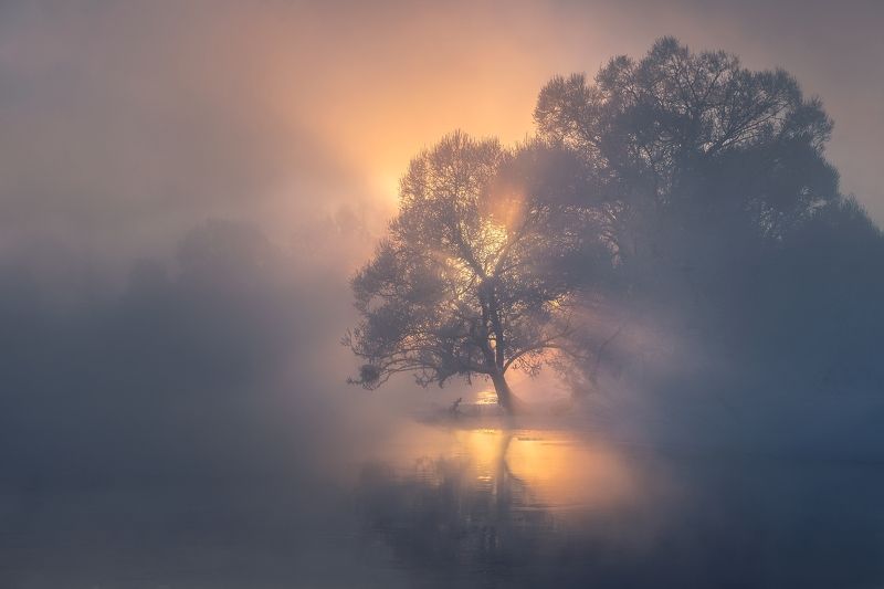 Да будет светphoto preview