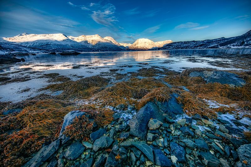 Nowherephoto preview