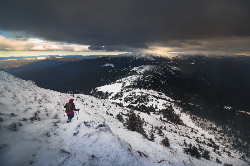 Карпаты, Украина На вечерних склонахphoto preview