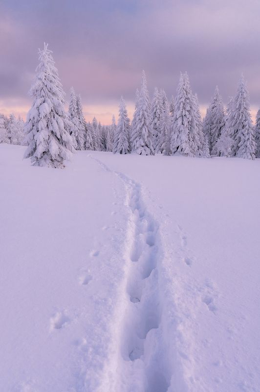 Mountains, winter, snow, nature, landscape, sun, nikon, z6,  Jizera mountainsphoto preview