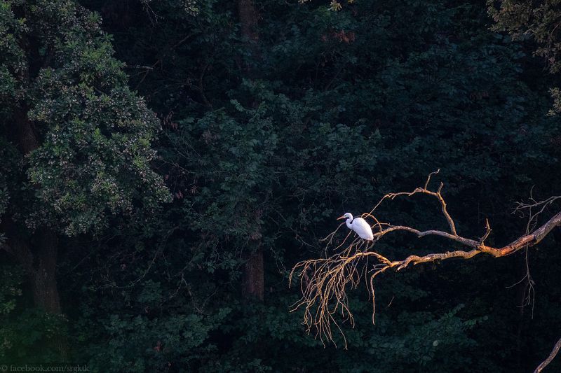 На отдыхе :)photo preview