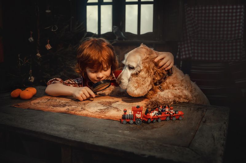 Мечтателиphoto preview