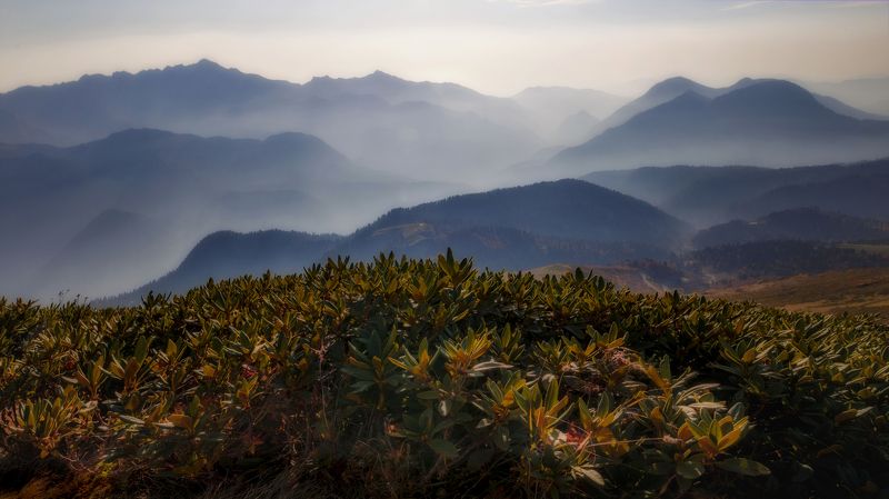 Тёплый осенний день в Кавказских горахphoto preview