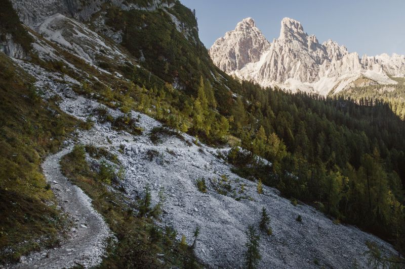 лес; горы; тропа; доломиты По путиphoto preview