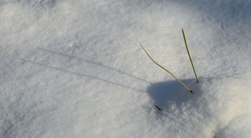 Зимние этюдыphoto preview