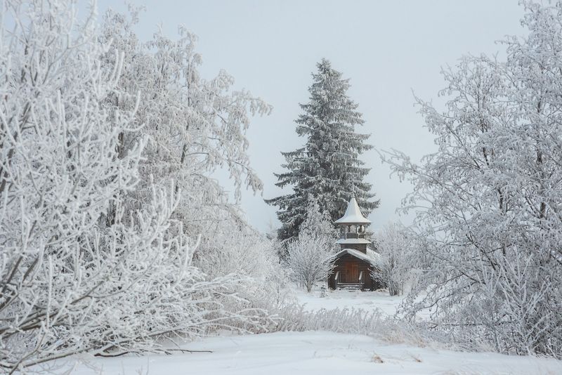 север,вологодчина,онего,ольково,зима ***photo preview