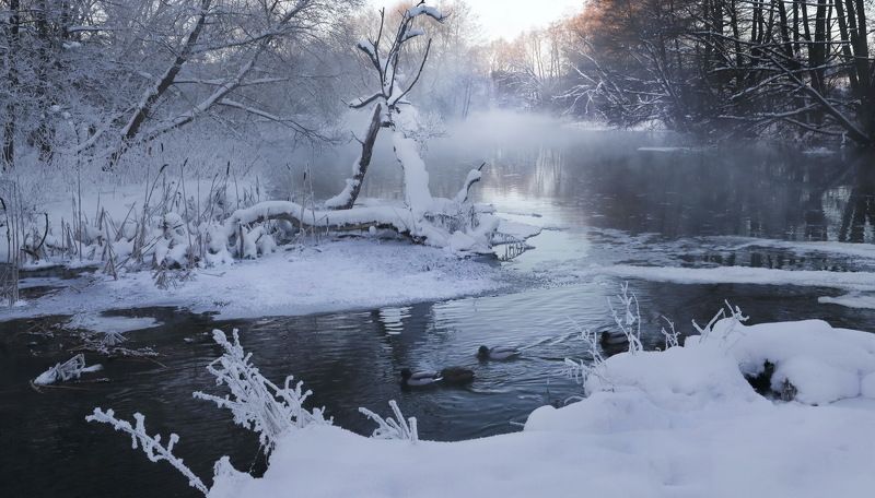 утро река Утро на рекеphoto preview