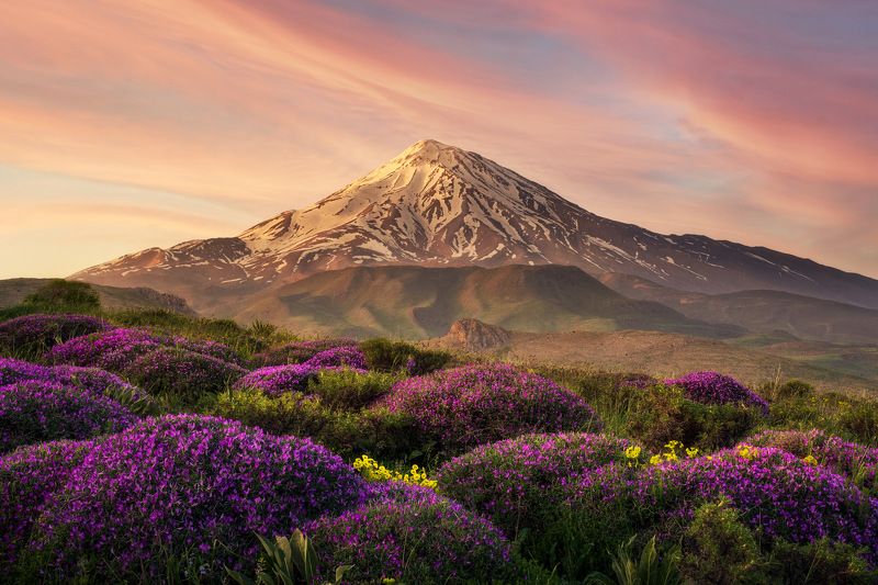 mountain sky cloud flower Damavand Mountphoto preview