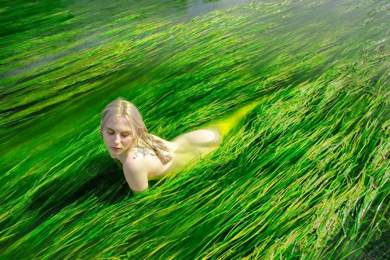 Late Summer Feng Shuiphoto preview